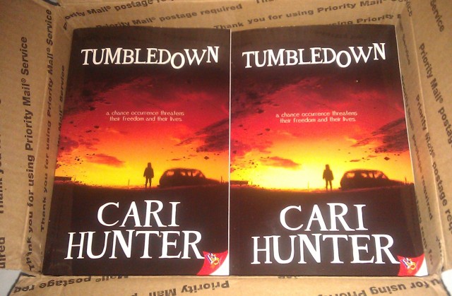 Tumbledown author copies